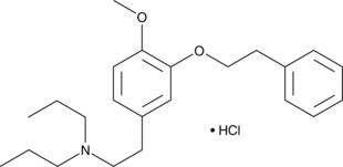 NE 100