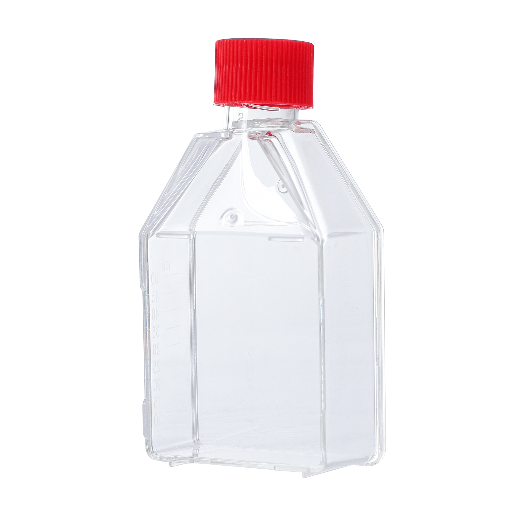 Cell Culture Flask