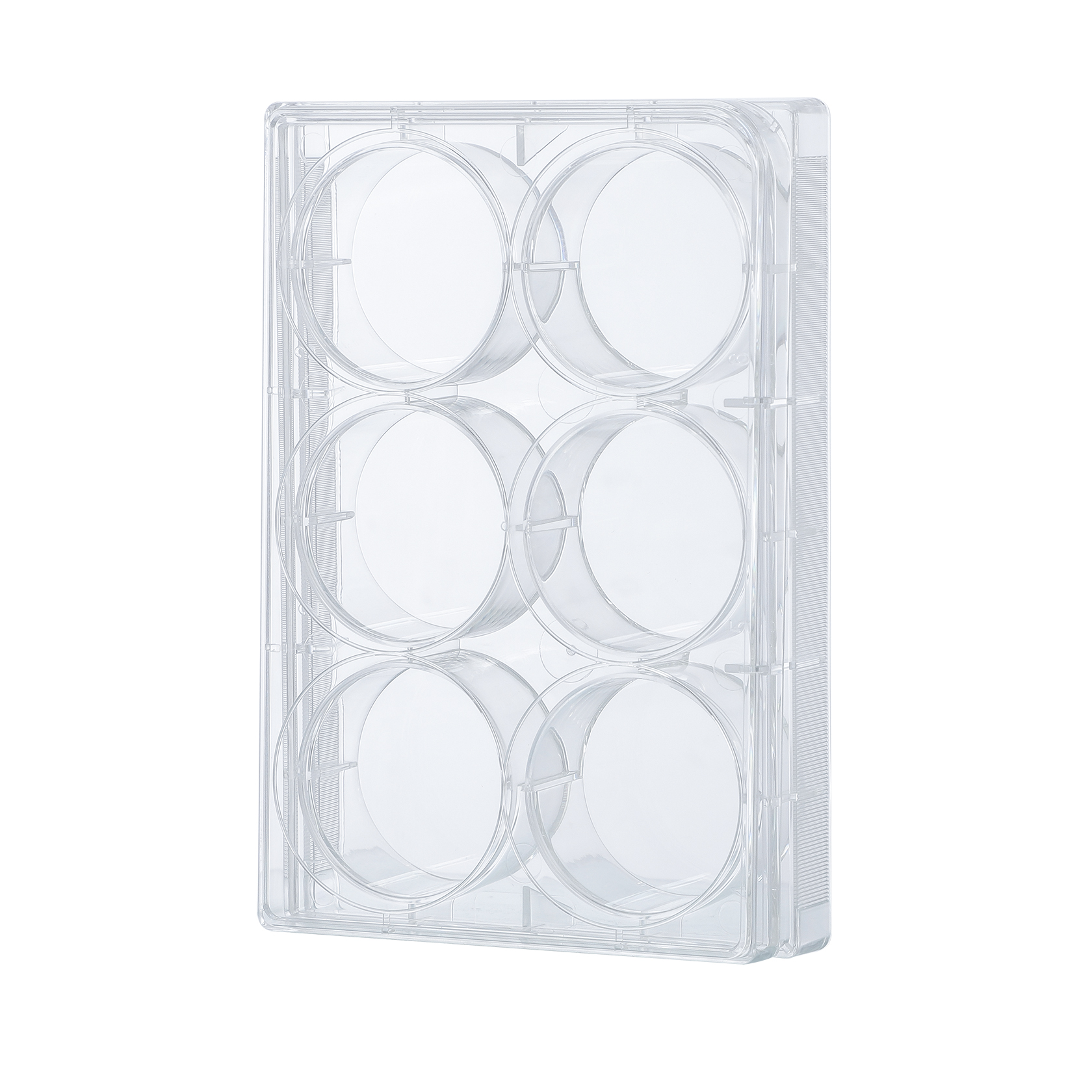 Cell Culture Plate