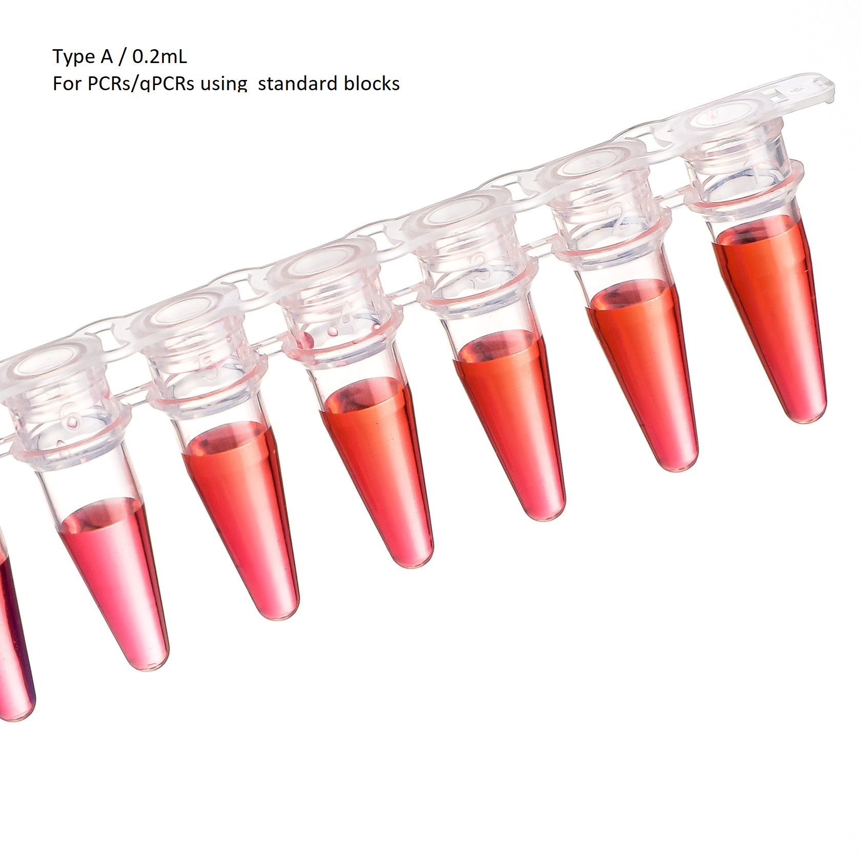 8-strip PCR Tube