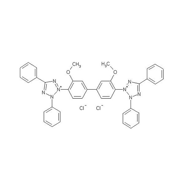 BLUE TETRAZOLIUM (M.S.) AR (tetrazolium blue, blue tetrazolium chloride)