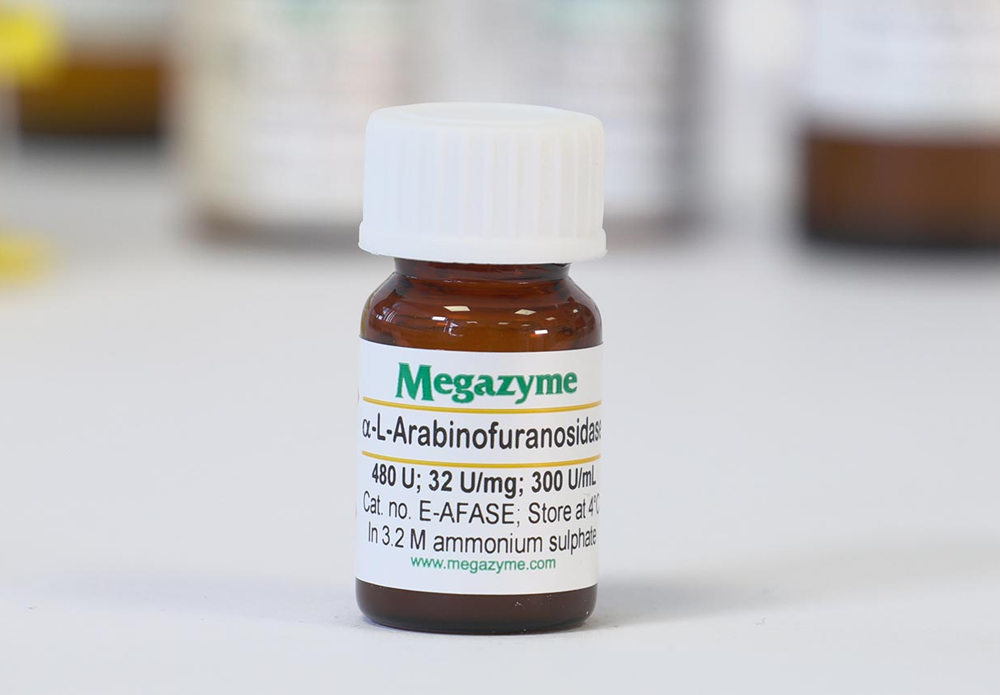 alpha-L-Arabinofuranosidase ( Aspergillus niger )
