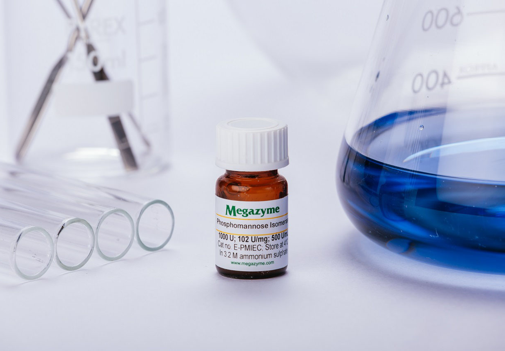 Phosphomannose isomerase ( Escherichia coli )
