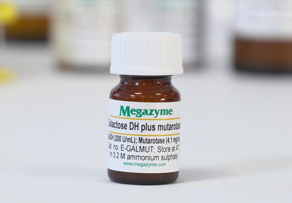 Galactose dehydrogenase - Galactose mutarotase