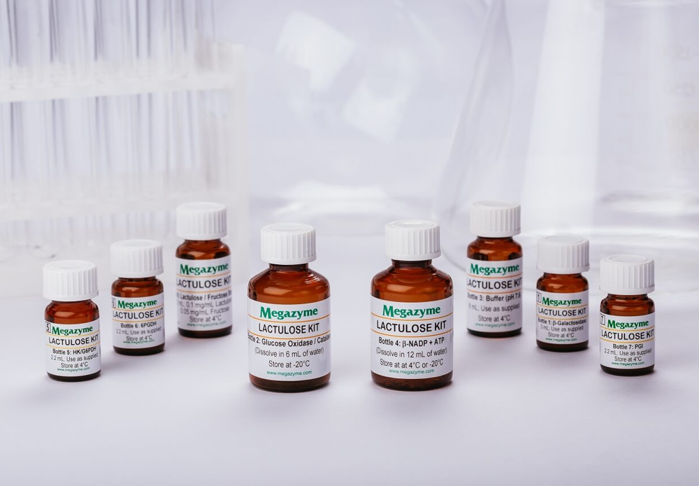 Lactulose Assay Kit