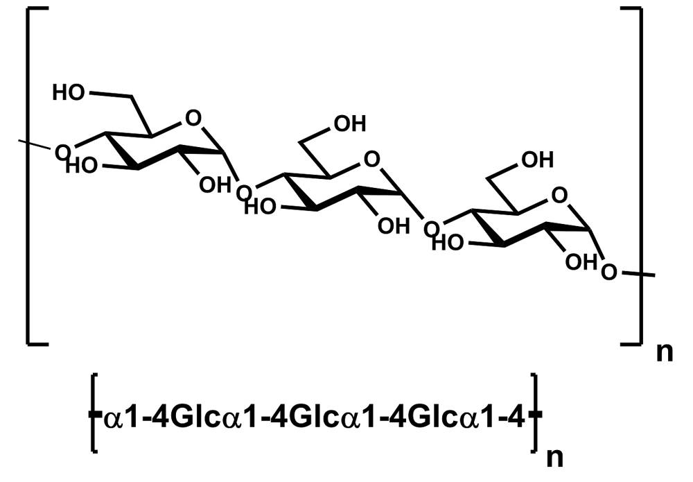 Amylose (potato)