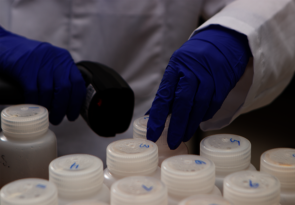 Sample Testing, Egg (ppm)