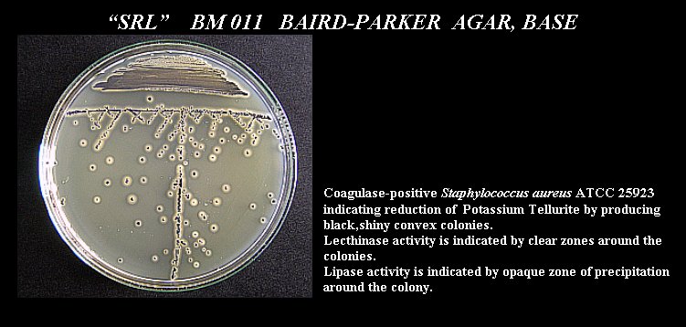 Baird-Parker Agar Base (USP, IP, ISO Basis)